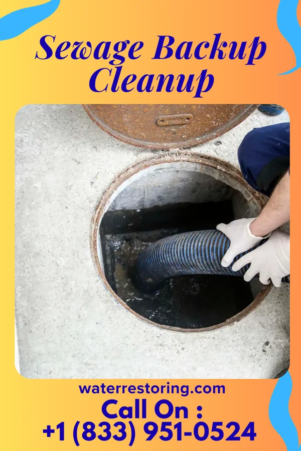 Sewage Backup Cleanup in Northfield, IL