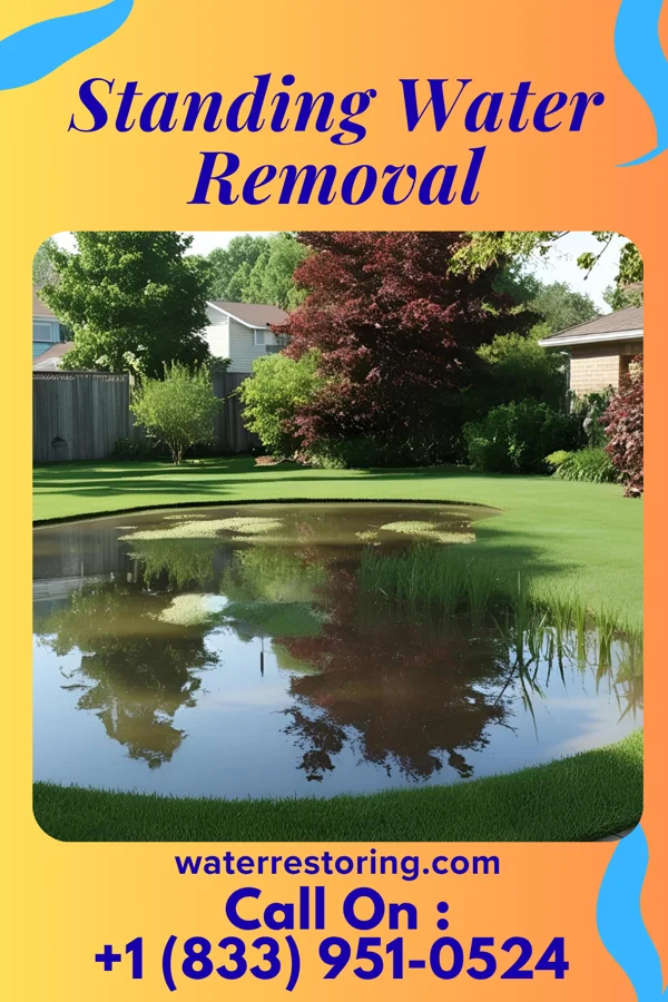 Standing Water Removal in Northfield, IL